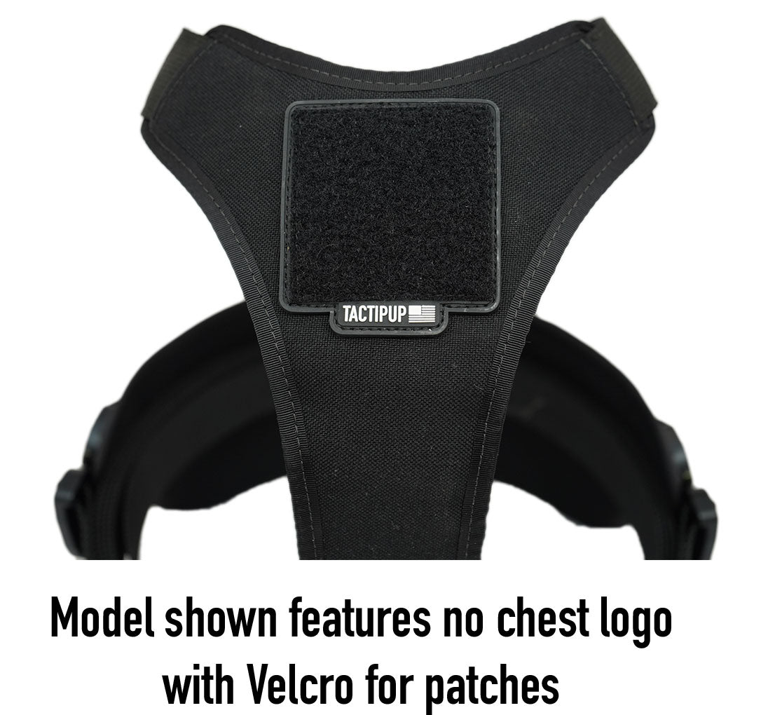 Extreme Harness with Metal Buckles