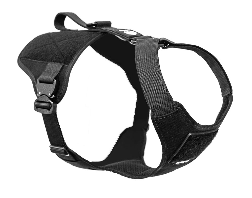 Extreme Harness with Metal Buckles